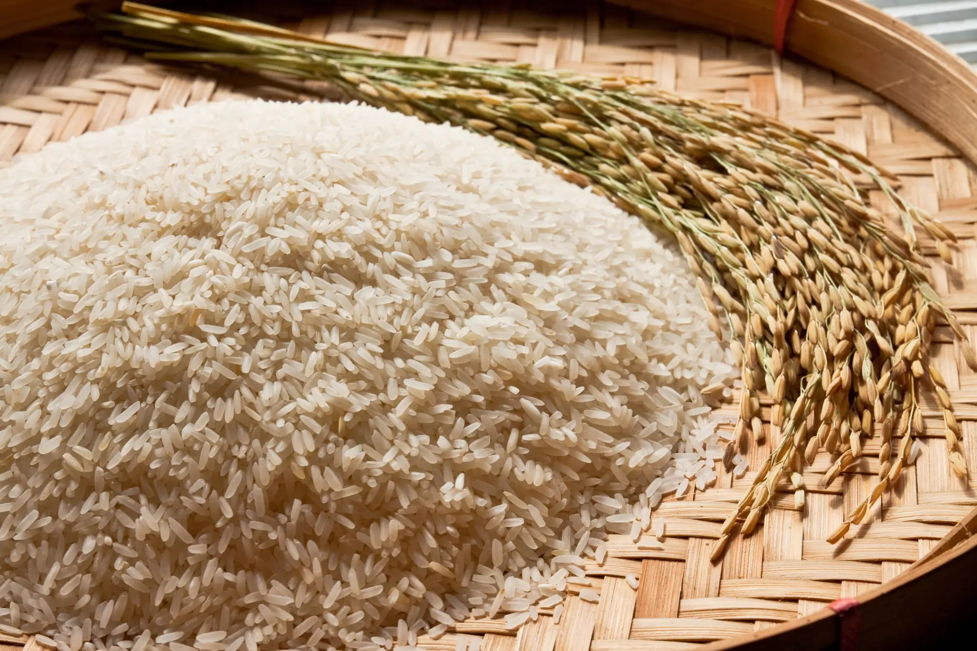 Aurajubli rice mill, Sungai Besar, Selangor