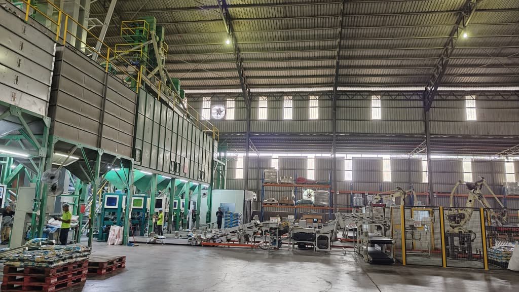Automated packing line filling rice sacks at Aurajubli